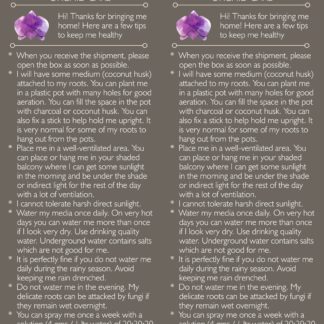 Care Instructions Sheet